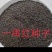 一串红种子是花坛公园等绿化的主体材料可货到付款