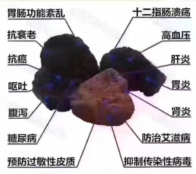 俄罗斯白桦茸：降三高治疗糖尿病