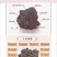 俄罗斯白桦茸：降三高治疗糖尿病