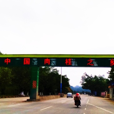 来自我家中国肉桂之乡的肉桂