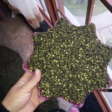 青花椒基地自种自销品质保证常年有货