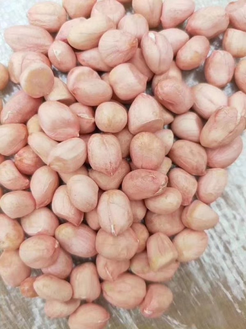 白沙花生米批发，冷库货8个的筛上精品，产地直发，