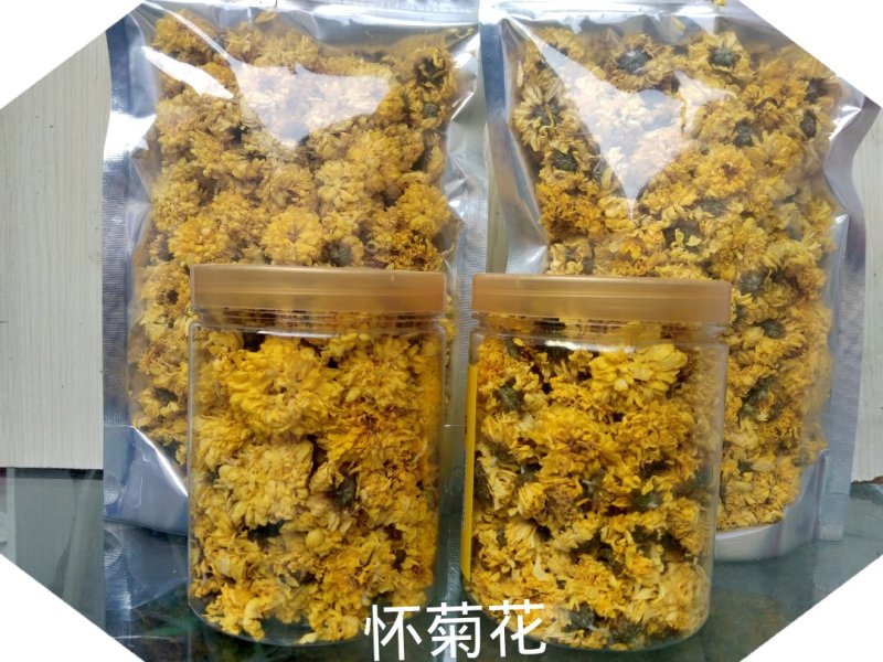 河南温县怀菊花