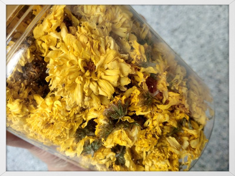 怀菊花