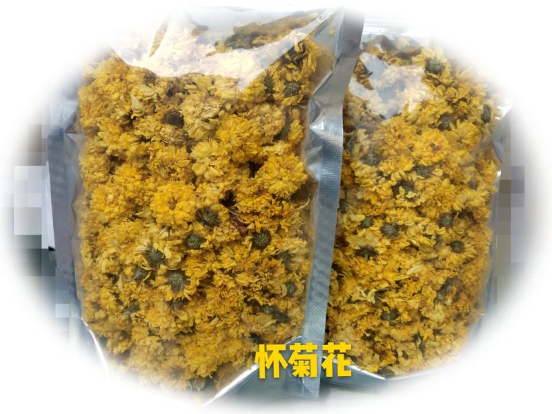 怀菊花
