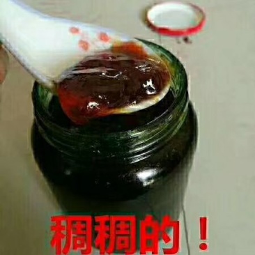 川贝枇杷膏。