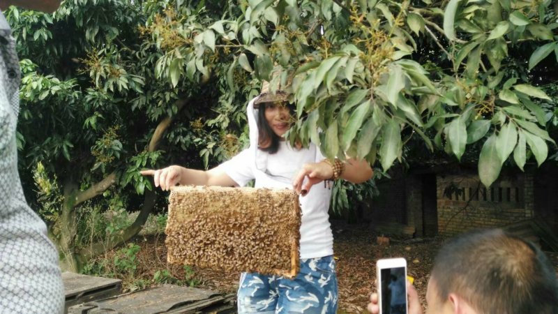 天然荔枝蜂蜜