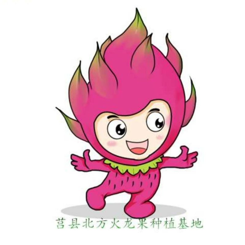 大量销售火龙果苗，一年结果，包成活率，技术支持，全国发货