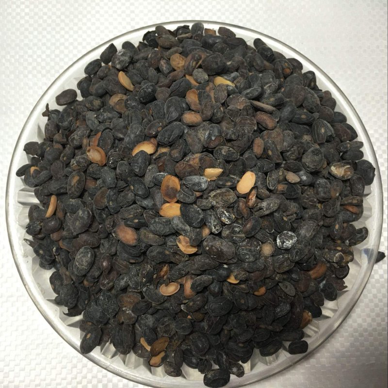 淡豆豉干货中药材用量大从优常年经营各种中药材