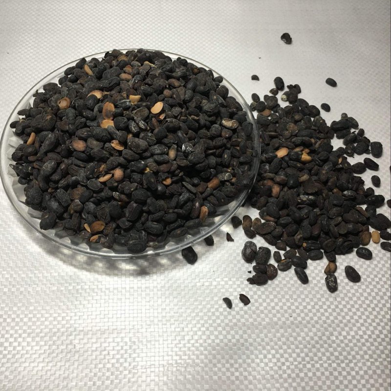 淡豆豉干货中药材用量大从优常年经营各种中药材