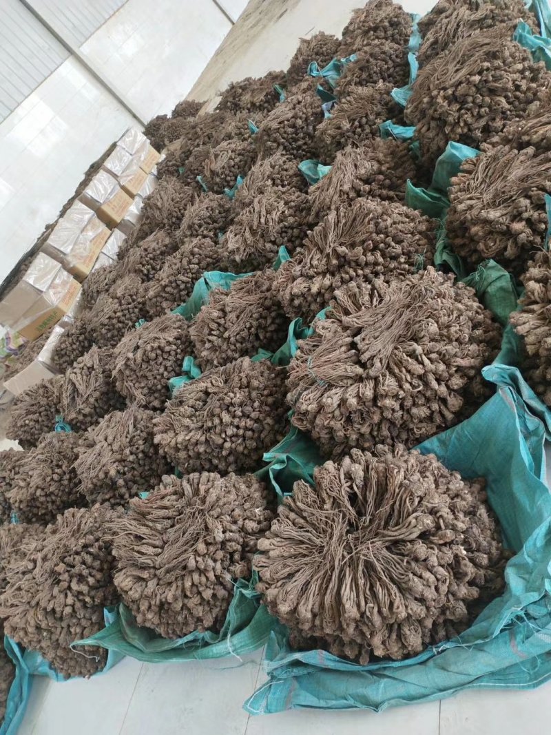 当归甘肃产地批发零售，货源充足