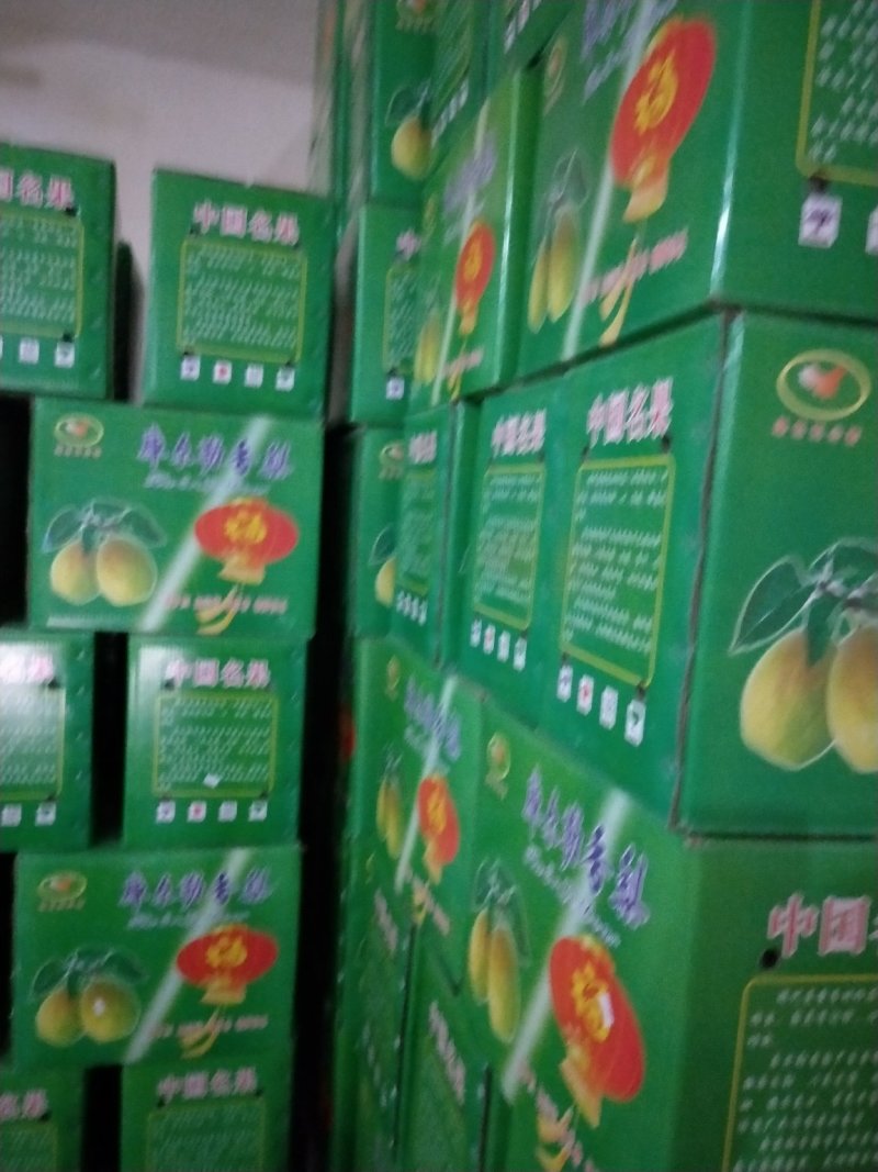 红香酥梨【赵县专业合作社】口感甜保质保量产地直销量大