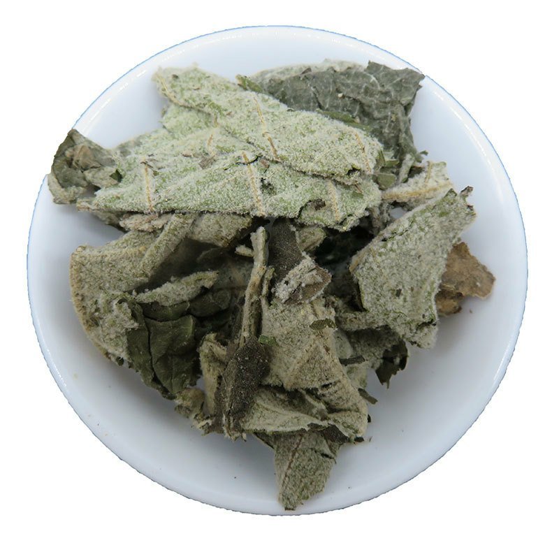 紫珠叶大风叶白狗肠批发零售冷背中药材