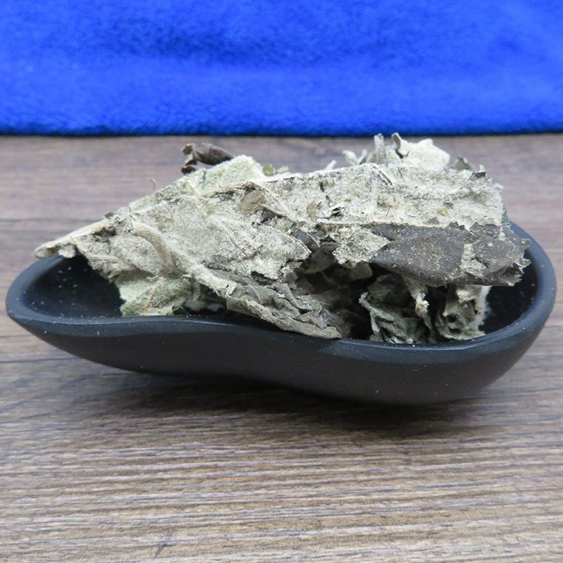紫珠叶大风叶白狗肠批发零售冷背中药材