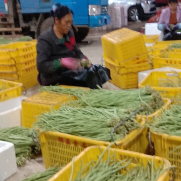 豇豆