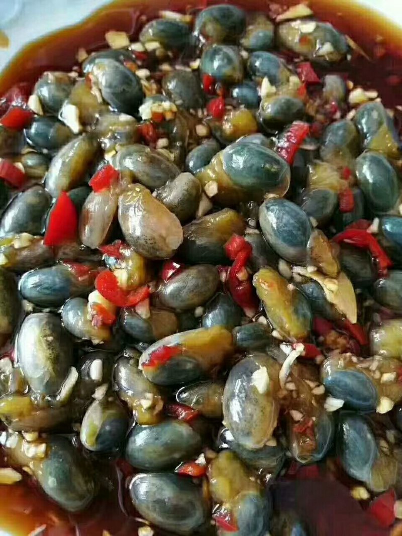 漳浦泥螺