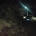 岗梅根，秤星木，鲜切，无硫