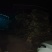 岗梅根，秤星木，鲜切，无硫