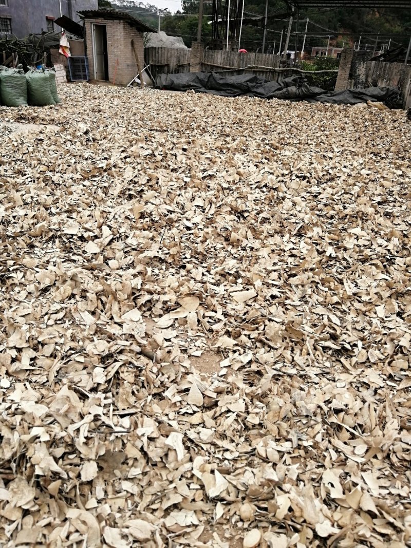 岗梅根，秤星木，鲜切，无硫