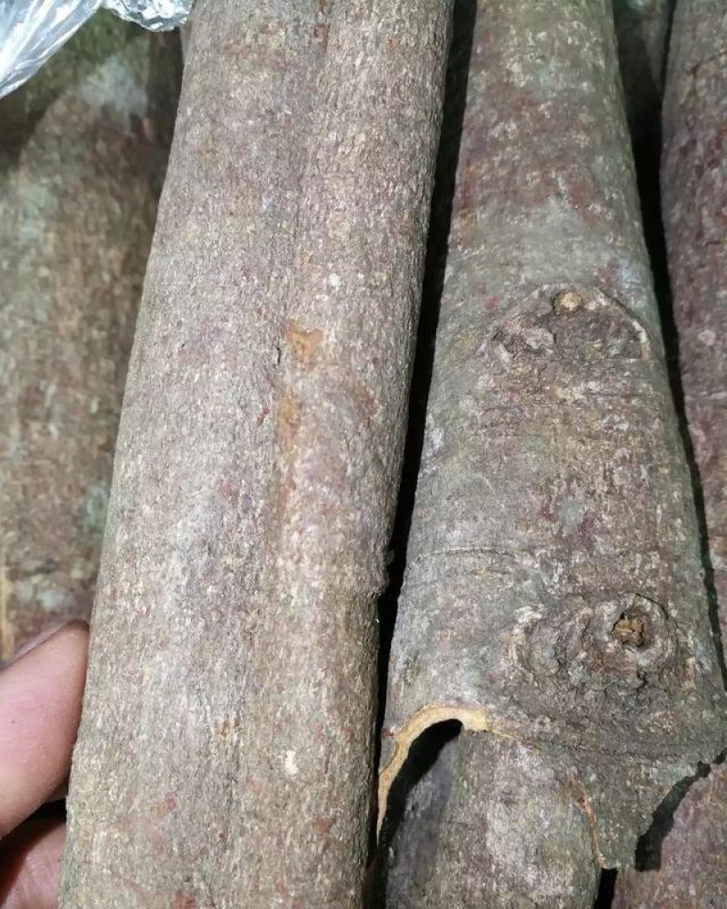 农家桂皮