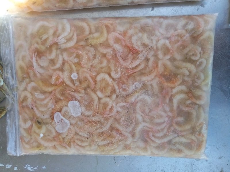 毛刀鱼，