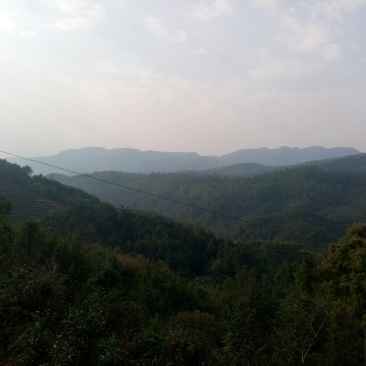 山地流转