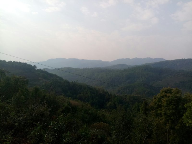 山地流转