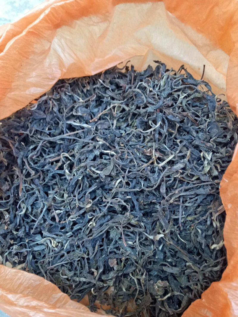 高山绿水的云雾茶