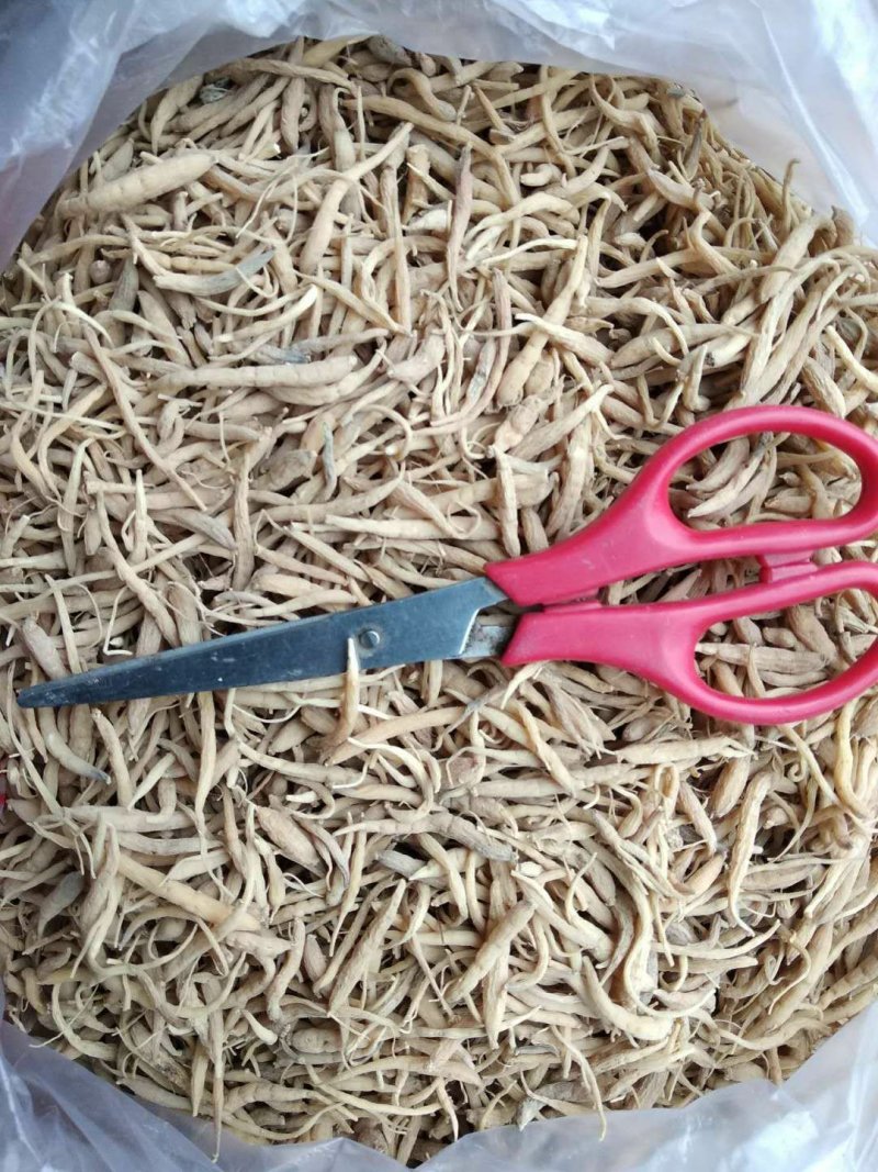 贵州铜仁晒干无硫太子参干品滋补煲汤干净无杂产地直发。