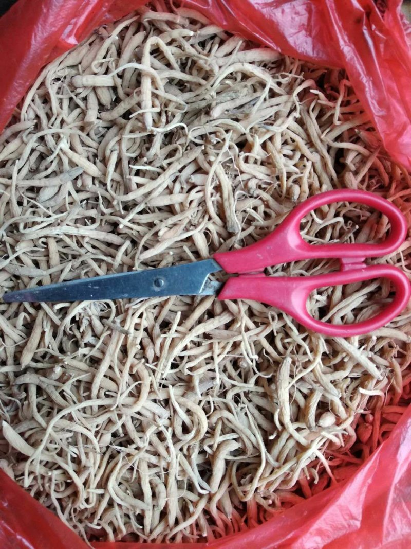 贵州铜仁晒干无硫太子参干品滋补煲汤干净无杂产地直发。