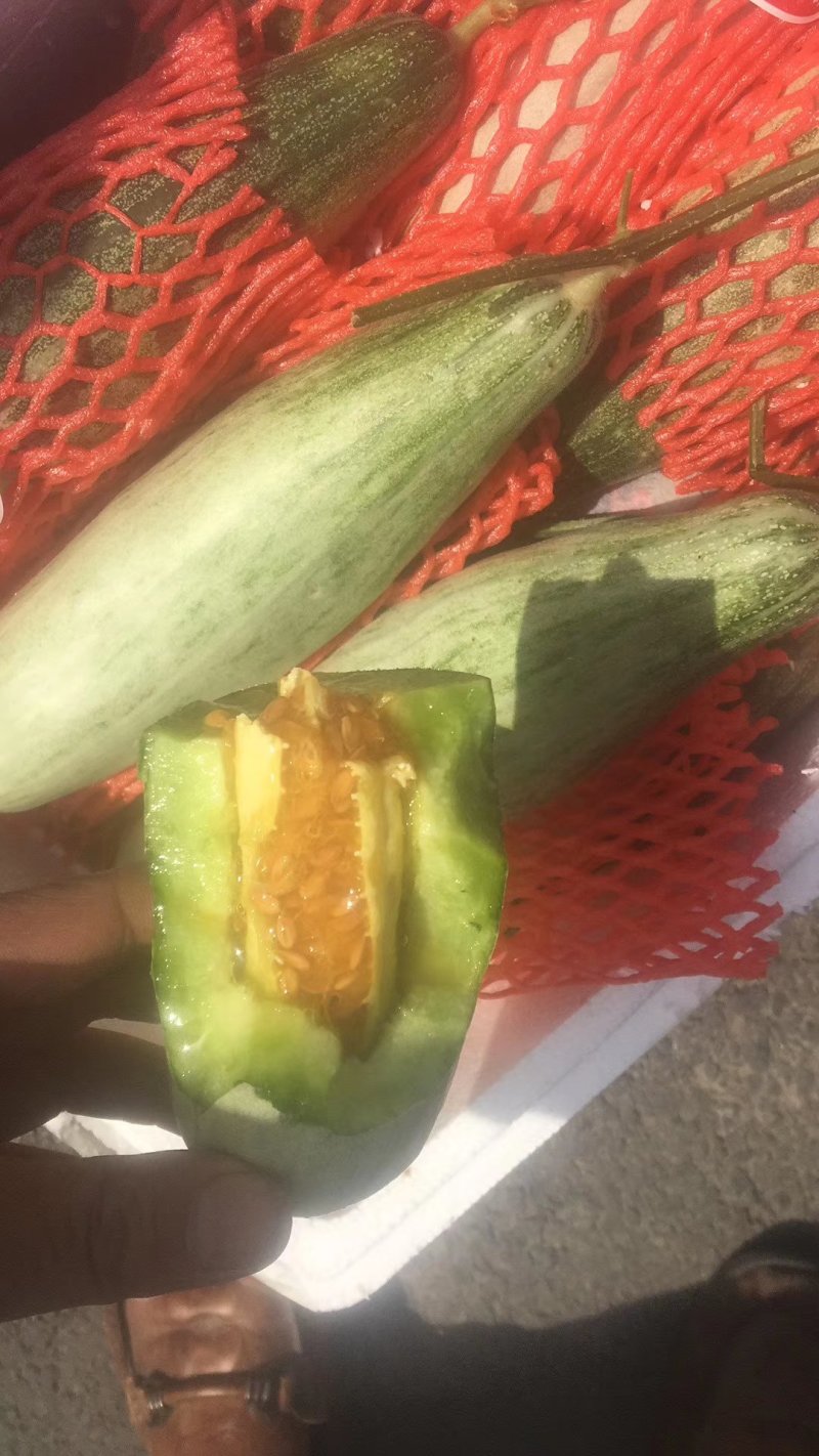 羊角蜜甜瓜，一级货，质量保证，货真价实，
