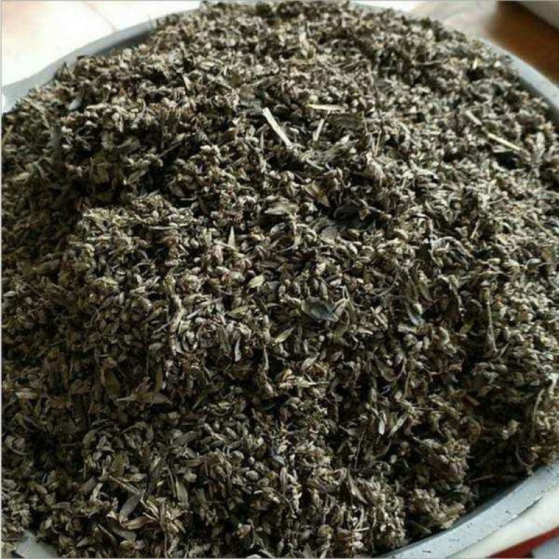 艾草种子