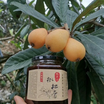漳州云霄枇杷膏