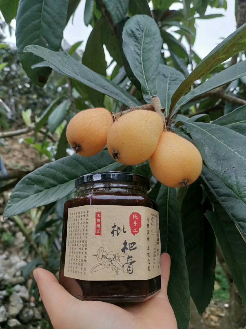 漳州云霄枇杷膏