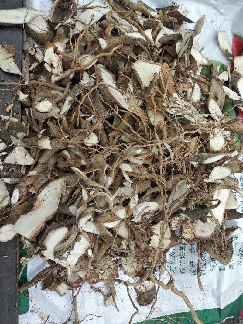 地桃花