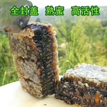 老蜜巢