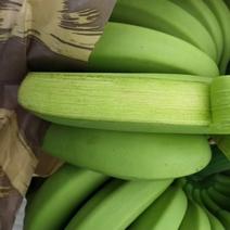 香蕉产地直发，承接市场商超，品质保证全国代发