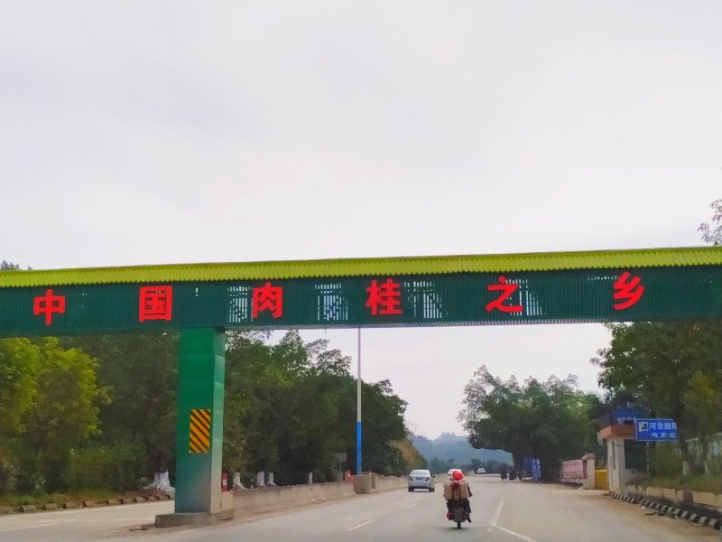 大量优质桂皮，货真价实