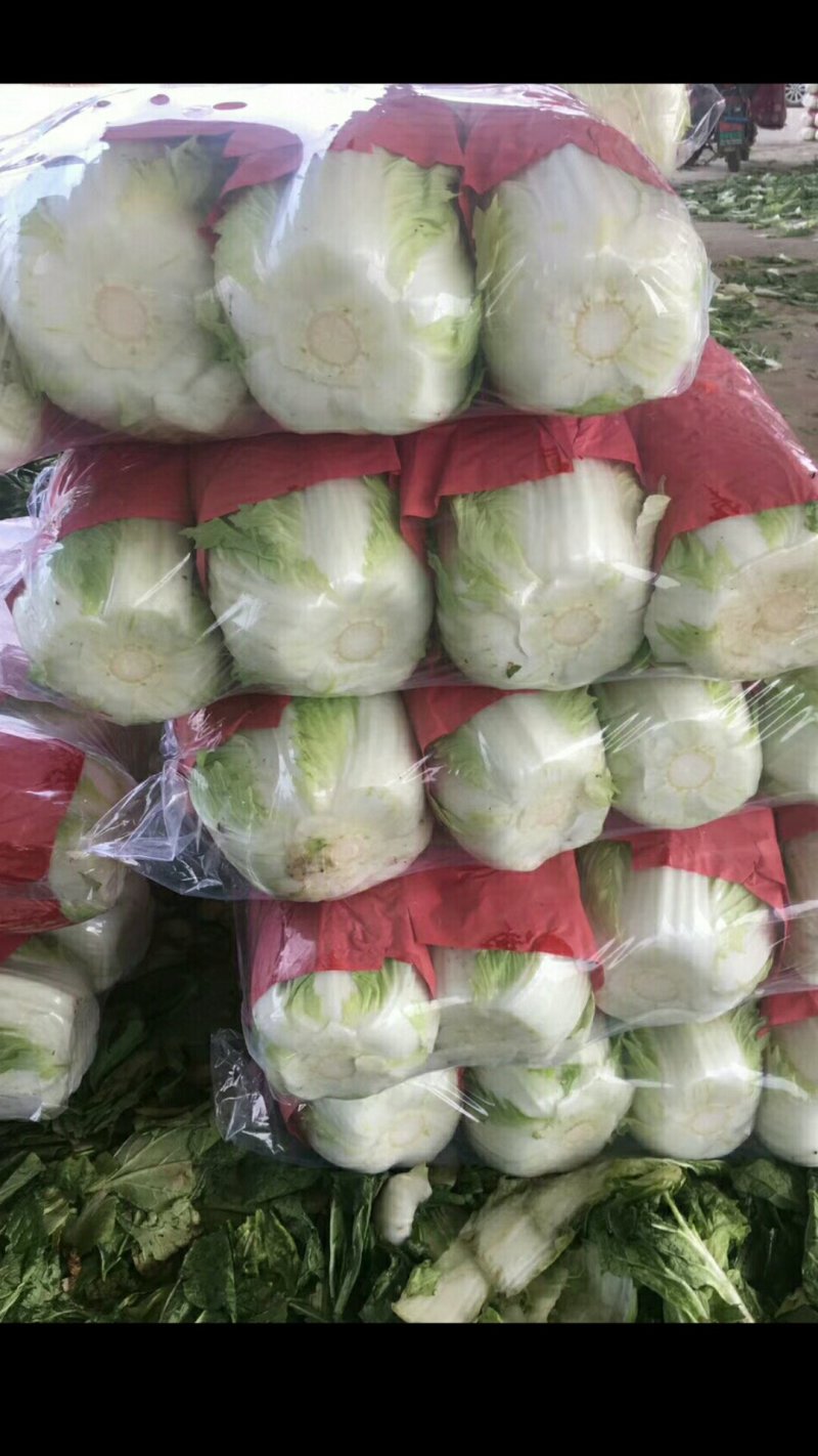 陆地大白菜大量上市，上车价