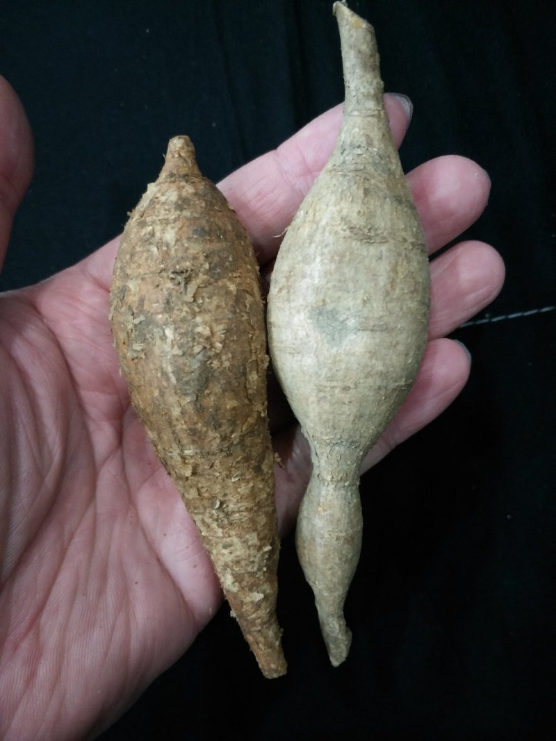 野生牛大力、广西大瑶山野生牛大力生鲜牛大力小叶牛