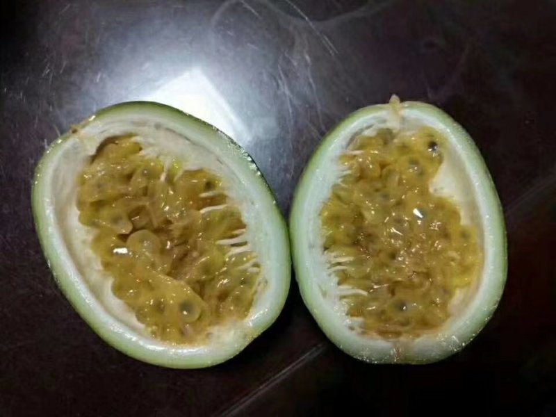 荔枝味木瓜紫香黄金百香果苗