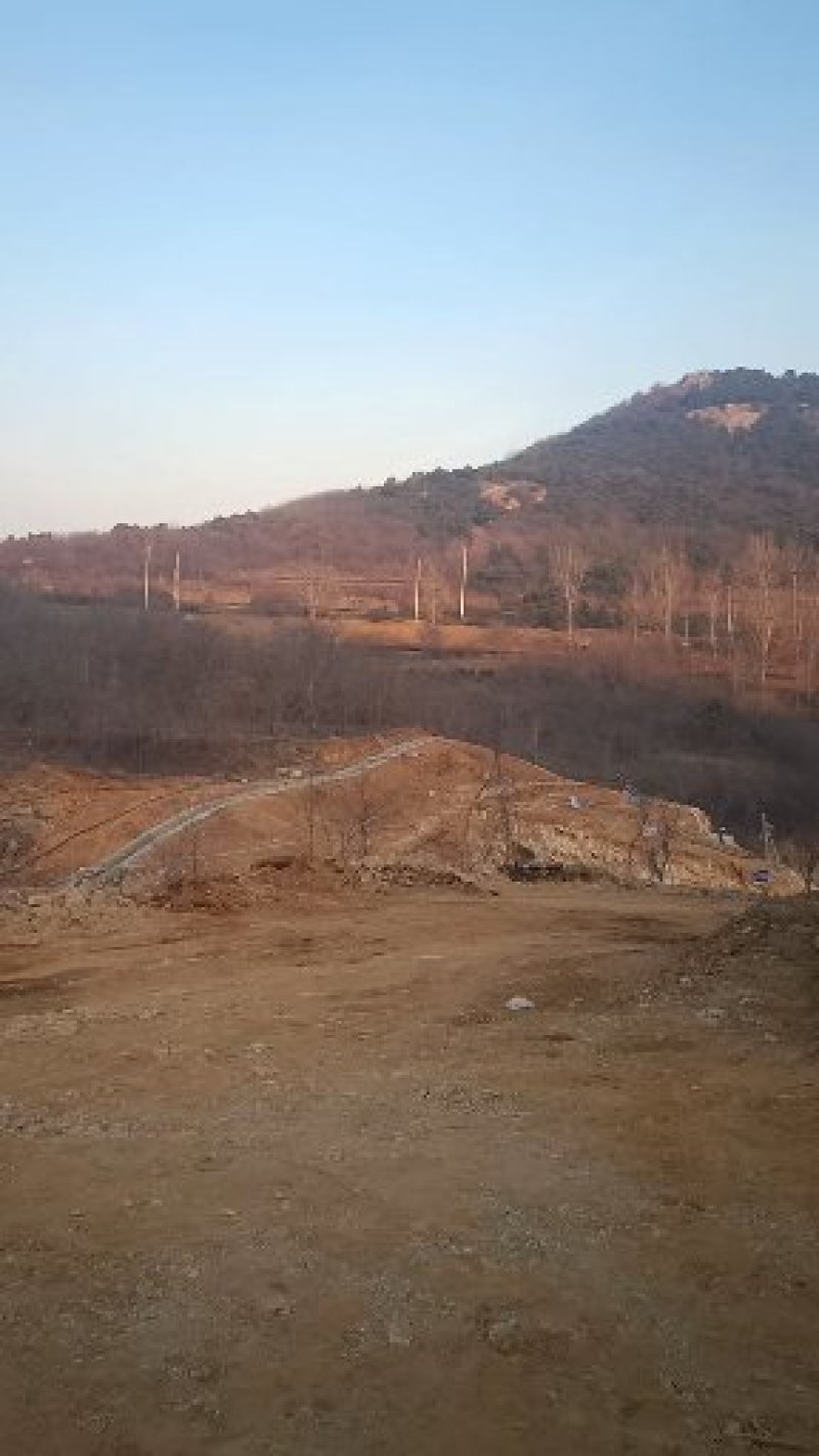 出租转让山场。