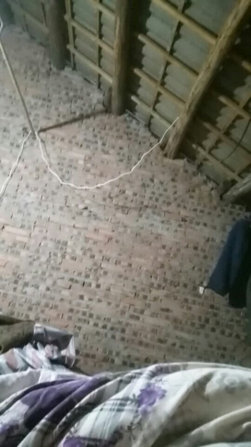 大量勾藤出售