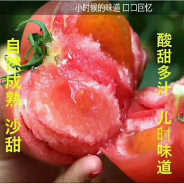 普罗旺斯小柿子，生吃的柿子，儿时的味道！