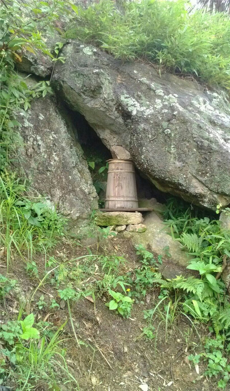 正宗高山土蜂蜜开卖啦，有需要的抓紧来看看噢