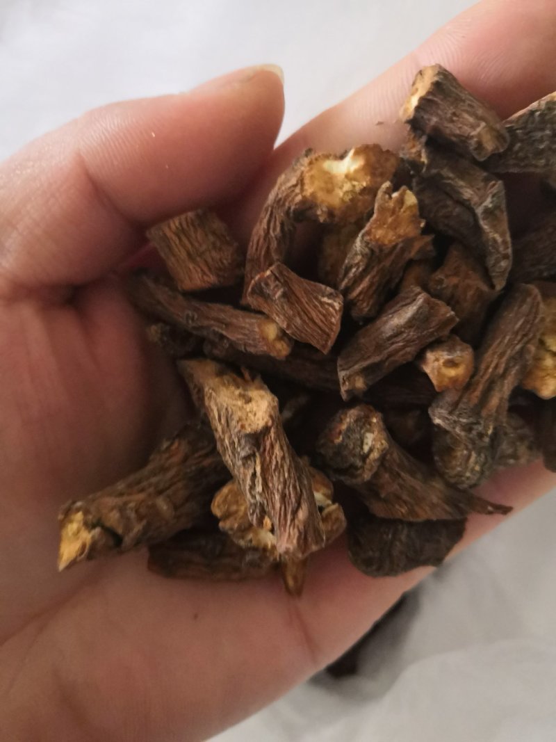 蒲公英根