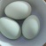 散养鸭蛋