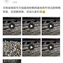 新鲜鹌鹑蛋