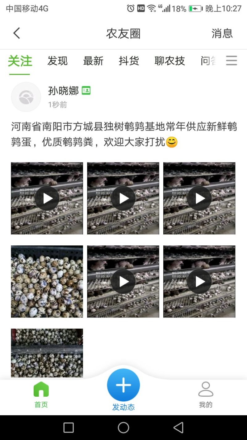 新鲜鹌鹑蛋
