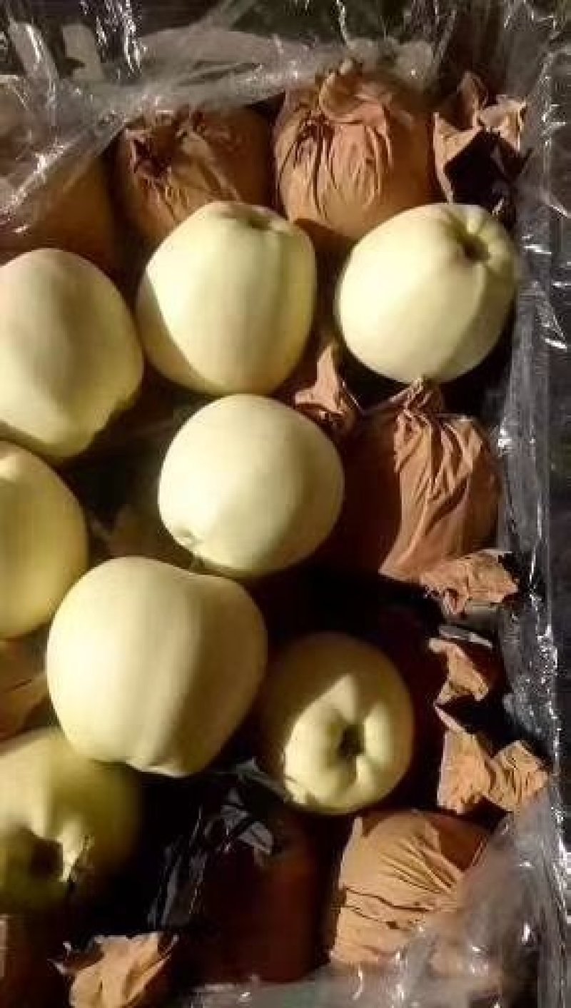 黄元帅苹果